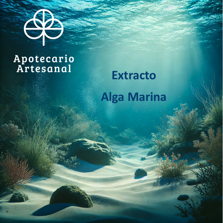 Extracto de Alga Marina