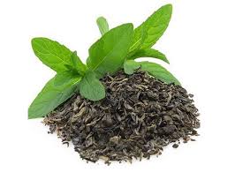 Extracto de Té Verde
