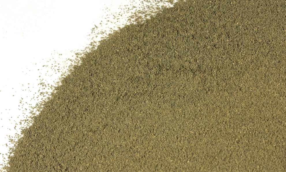 Polvo de Té Verde
