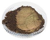 Mica Bronce