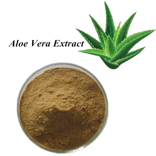 Polvo de Aloe Vera (Aloe barbadenis)