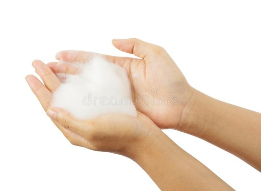 Lauril Sarcocinato de Sodio