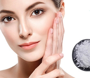 Proteína de seda en polvo